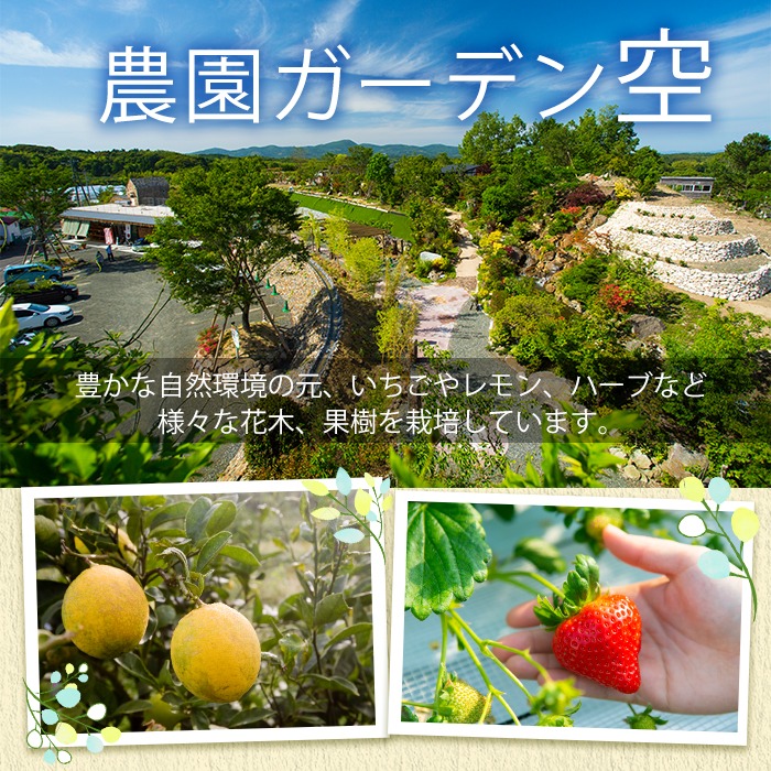 農園ガーデン空産いちご 恋みのりセット(計1.1kg・280g×4P)国産 イチゴ 苺 フルーツ 果物【農園ガーデン空】akn026-02