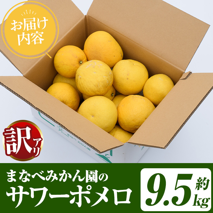 èš³ããïŒãŸãªã¹ã¿ããåã®ãµã¯ãŒãã¡ã (çŽ9.5kg) åœç£ 鹿å
å³¶çç£ é¿ä¹
æ ¹åžç£ ææ©é¡ ã¿ãã ãã«ã³ èæ æç© ãã«ãŒã ãµã¯ãŒãã¡ã æééå® æ°ééå® ãã¶ãŒã èš³ã¢ãª ãæéäŒç€ŸãŸãªã¹ã¿ããåãakn034-08