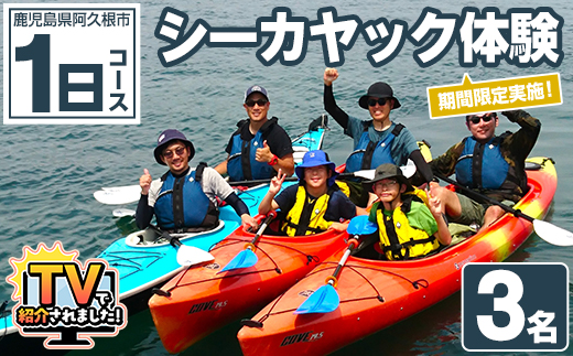期間限定実施 シーカヤック体験チケット(1日/3名) 阿久根 シーカヤック アウトドア アクティビティ 自然 体験 ツアー チケット マリンスポーツ【パズル】akn098-17
