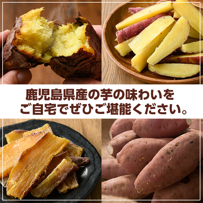 紅はるか食べ比べセット(合計760g) 国産 さつまいも サツマイモ さつま芋 焼芋 焼き芋 やきいも ひとくちカット 一口サイズ 蒸しスティック 干芋 干し芋 干しいも お菓子 スイーツ おやつ お手軽 【海連】akn016-19
