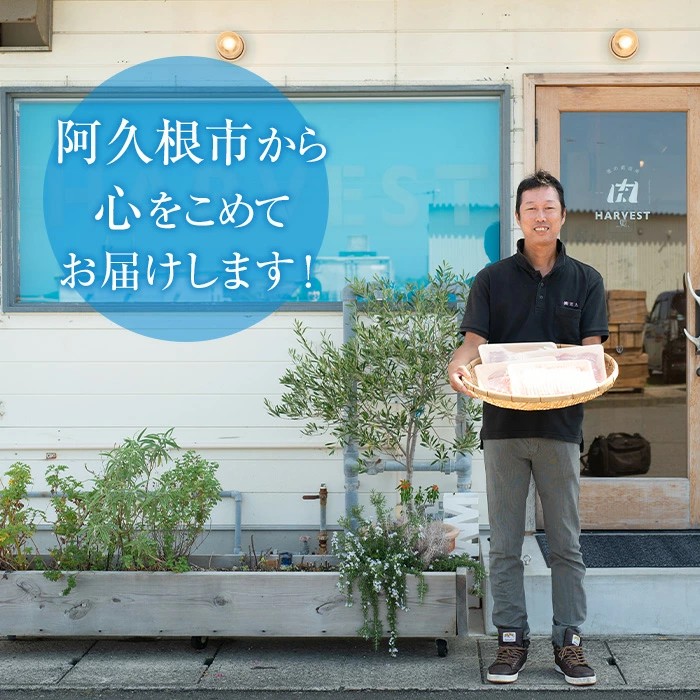 数量限定！日本蜜蜂 はちみつ(300g) 国産 蜂蜜 ハチミツ 日本ミツバチ 非加熱 ハニー ボトル 【三九】akn006-17