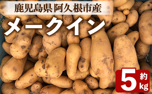 ＜先行予約受付中！2026年6月以降順次発送予定＞じゃがいも メークイン(5kg) 国産 鹿児島県産 阿久根市産 じゃがいも ジャガイモ 芋 ポテト 野菜 期間限定 数量限定 スープ カレー シチュー 常温 常温配送 【慶越農園】akn107-05