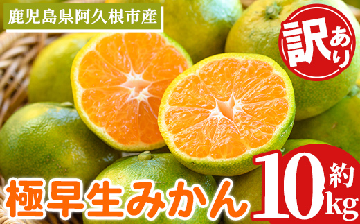 ＜先行予約受付中！2026年9月中旬以降順次発送予定＞ 訳あり！極早生みかん(約10kg) 国産 みかん 極早生 早生 柑橘 果物 フルーツ デザート 果実 期間限定 数量限定 【古田果樹園】akn093-11