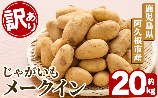 ＜先行予約受付中！2027年5月下旬以降順次発送予定＞ 訳あり！じゃがいも「メークイン」(約20kg) じゃがいも ジャガイモ 芋 国産 野菜 期間限定 数量限定 肉じゃが ポテトサラダ カレー シチュー 【古田果樹園】akn093-08