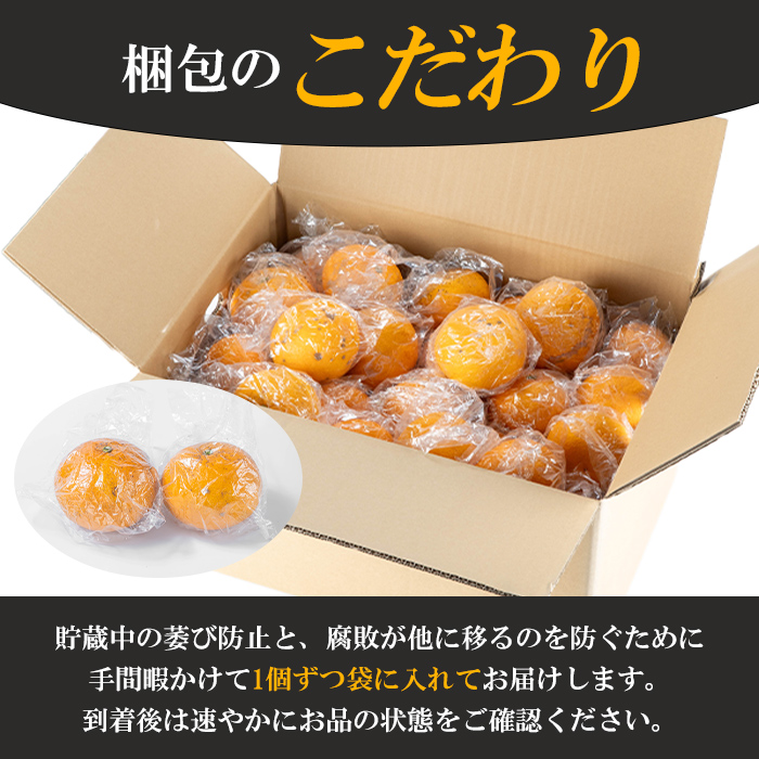 シ懷郁。御コ育エ蜿嶺サ倅クュシ2027蟷エ3譛井ク頑流莉・髯埼谺。逋コ騾∽コ亥ョ夲シ 險ウ縺ゅjシ鮖ソ蜈仙ウカ逵檎肇縺セ縺九↑縺邏逕伜、(邏20kg) 蝗ス逕」 鮖ソ蜈仙ウカ逕」 譟第ゥ 險ウ繧「繝ェ 譫懃黄 繝輔Ν繝シ繝 譌ャ 蟶ク貂ゥ菫晏ュ 邏逕伜、 繝吶ル繧「繝槭リ繝 謨ー驥城剞螳 譛滄俣髯仙ョ 隕乗シ螟 繝繧カ繝シ繝 髦ソ荵譬ケ蟶ら肇縲蝉ク臥ャ霎イ讌ュ逕溽肇縲疎kn051-05