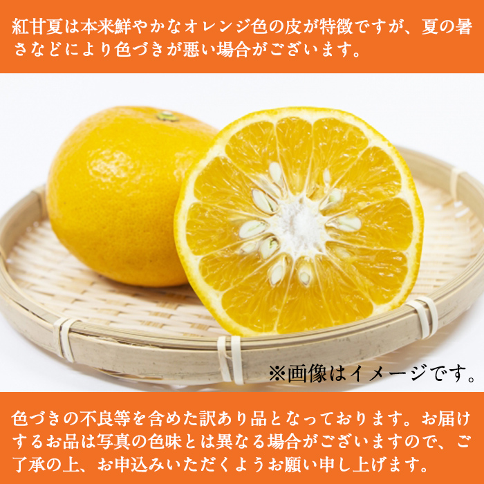 ＜先行予約受付中！2026年1月中旬以降順次発送予定＞訳あり紅甘夏(約20kg) 国産 鹿児島県 阿久根市 果実 果物 フルーツ 柑橘 紅甘夏 みかん ミカン 期間限定 数量限定【桐野柑橘株式会社】akn070-09