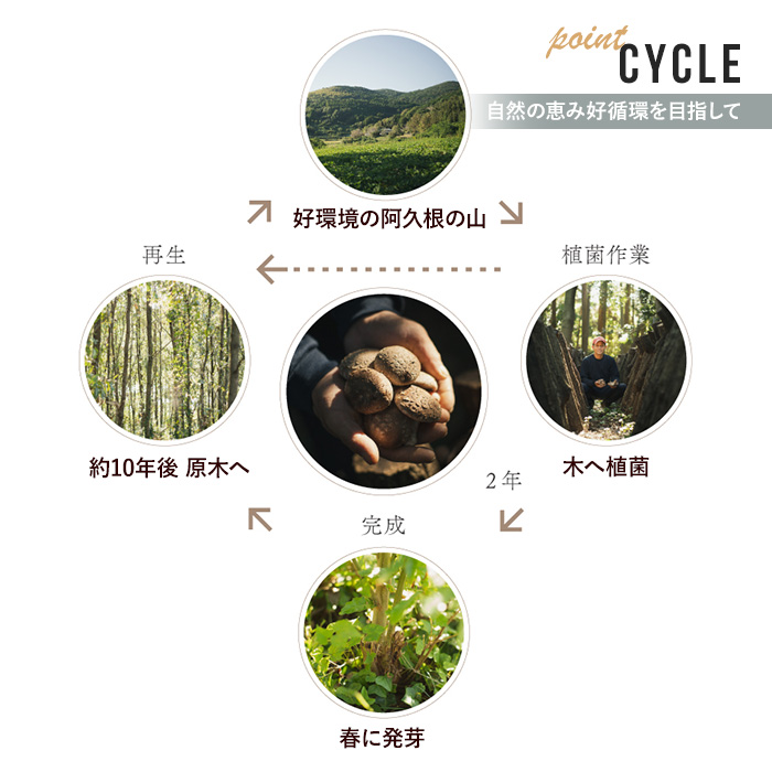 濃いえのき白(20袋・計600g) 国産 白えのき エノキ きのこ 茸 キノコ セット 個包装 【三笠えのき茸生産組合】akn010-21