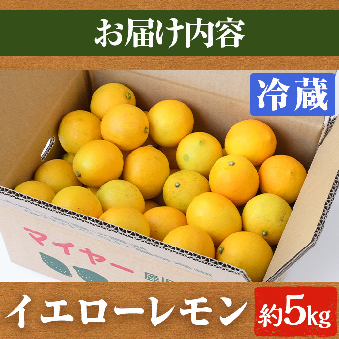 æ°ééå®ïŒå·èµåãã€ã€ãŒã€ãšããŒã¬ã¢ã³(5kg) åœç£ ãã€ã€ãŒã¬ã¢ã³ 檞檬 ãªã¬ã³ãž æå® æç© ãã«ãŒã ææ© ãã¶ãŒã æééå®ãæ¡éææ©æ ªåŒäŒç€Ÿãakn070-13