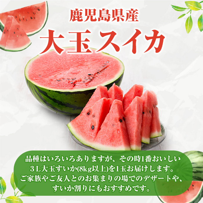 ïŒå
è¡äºçŽåä»äžïŒ2026幎6æäžæ¬ä»¥éé æ¬¡çºéäºå®ïŒé¹¿å
å³¶çç£ å€§çã¹ã€ã«(3Lãµã€ãºã»1ç) åœç£ æç© ã¹ã€ã« ããã 西ç ãã«ãŒã ã¹ã€ãŒã ã¹ã ãŒãžãŒ ãžã¥ãŒã¹ãæŸæ°žéæãakn053-15