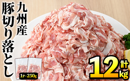 ＜定期便・全6回(偶数月)＞豚肉ウデモモ切り落とし(計12kg・1パック250g) 小分け 国産 豚肉 豚小間 真空パック 家庭用 豚こま 定期便 スライス 冷凍配送 個包装 切り落し 切落し すき焼き しゃぶしゃぶ セット 詰め合わせ 数量限定【三九】akn006-14