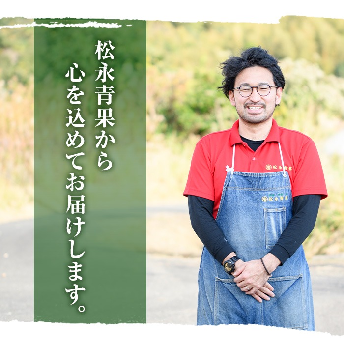 ＜先行予約受付中！2026年6月中旬以降順次発送予定＞訳あり！鹿児島県産 大玉スイカ(1玉・約10kg) 国産 果物 スイカ すいか 西瓜 フルーツ スイーツ スムージー ジュース【松永青果】akn053-21