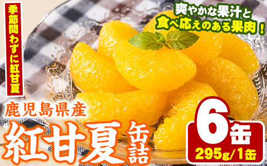 紅甘夏缶詰(295g×6缶)国産 柑橘 果物 フルーツ あまなつ 加工品 缶詰め デザート おやつ【鹿児島いずみ農業協同組合】a-14-49