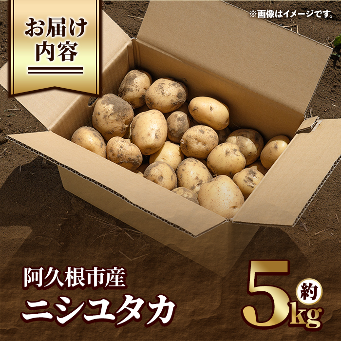 じゃがいも ニシユタカ(5kg) 国産 鹿児島県産 阿久根市産 じゃがいも ジャガイモ 芋 ポテト にしゆたか 野菜 期間限定 数量限定 ポテトサラダ コロッケ 常温 常温配送 【慶越農園】akn107-09