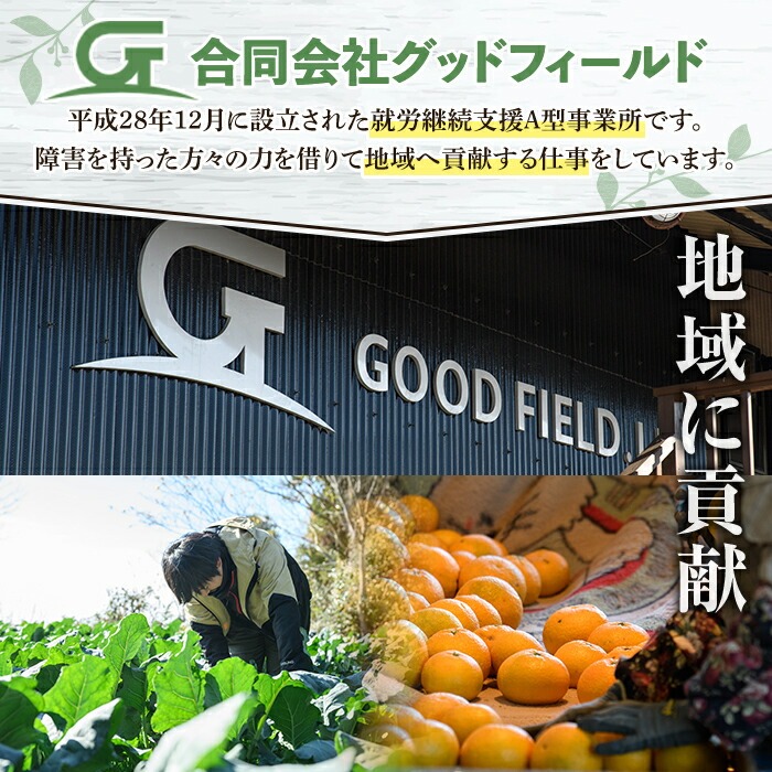 ＜先行予約受付中！2026年1月以降順次発送予定＞鹿児島県産冷凍ブロッコリー(合計2kg・約250g×8袋) 大容量 国産 野菜 冷凍 冷凍野菜 小分け【合同会社グッドフィールド】akn056-10