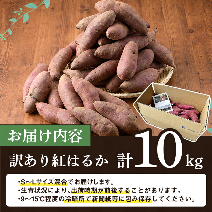 èš³ããïŒé¹¿å
å³¶çç£ãã€ãŸããçŽ
ã¯ãã(èš10kg) 倧容é åœç£ çæ è©°ãåãã éè ãã€ãŸè çŒè 鹿å
å³¶ç£ å€§å°æ··å æééå® åžžæž©ä¿åãååäŒç€Ÿã°ãããã£ãŒã«ããakn056-08