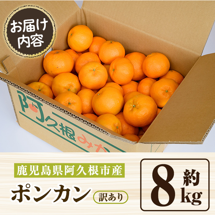 ＜先行予約受付中！2026年12月下旬以降順次発送予定＞ 訳あり！ポンカン(約8kg) 国産 ポンカン 柑橘 果物 フルーツ デザート 果実 期間限定 数量限定【古田果樹園】akn093-05