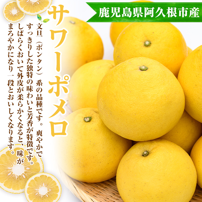 ãŸãªã¹ã¿ããåã®ãµã¯ãŒãã¡ã (çŽ9.5kg) åœç£ 鹿å
å³¶çç£ é¿ä¹
æ ¹åžç£ ææ©é¡ ã¿ãã ãã«ã³ èæ æç© ãã«ãŒã ãµã¯ãŒãã¡ã æééå® æ°ééå® èŽççš ã®ãã ãã¶ãŒã ãæéäŒç€ŸãŸãªã¹ã¿ããåãakn034-07