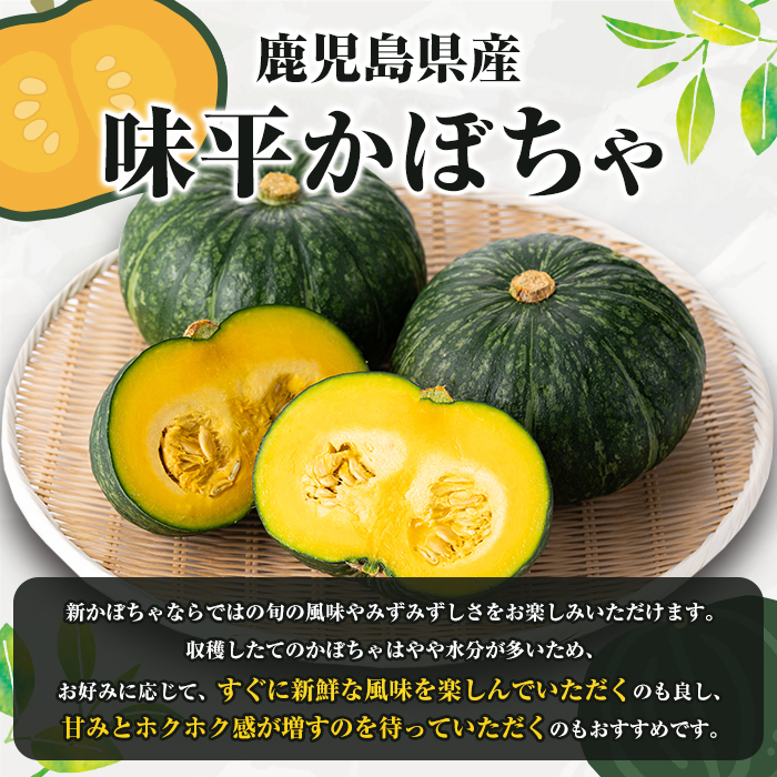 ïŒå
è¡äºçŽåä»äžïŒ2026幎5æäžæ¬ä»¥éé æ¬¡çºéäºå®ïŒé¹¿å
å³¶çç£ å³å¹³ããŒã¡ã(çŽ5kg) åœç£ éè ããŒã¡ã ã«ãã㣠åç ç
®ç© 倩ã·ã ããŒããã¥ãŒ BBQ ã¹ã€ãŒã ãèåãæŸæ°žéæãakn053-24