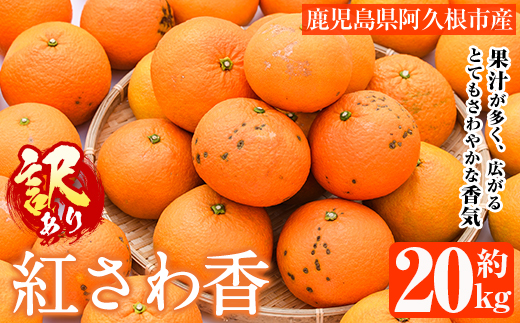 訳あり 紅さわ香(約20kg) 国産 鹿児島県 阿久根市 果実 果物 フルーツ 柑橘 みかん ミカン 紅甘夏 期間限定 数量限定 【桐野柑橘株式会社】akn070-19