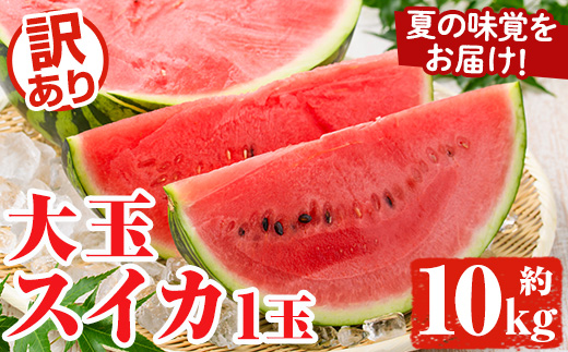 ＜先行予約受付中！2026年6月中旬以降順次発送予定＞訳あり！鹿児島県産 大玉スイカ(1玉・約10kg) 国産 果物 スイカ すいか 西瓜 フルーツ スイーツ スムージー ジュース【松永青果】akn053-21