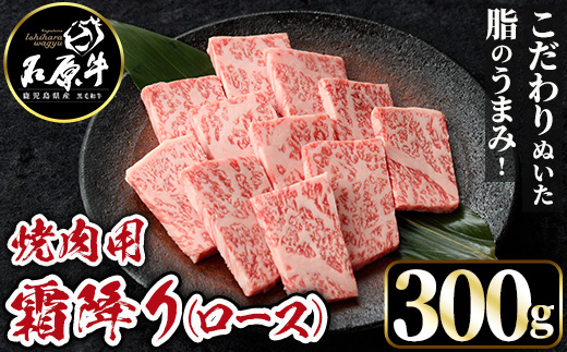 石原牛 霜降りロース 焼肉用(300g) 黒毛和牛 国産 九州産 鹿児島県産 ブランド牛 焼肉 BBQ 牛肉 和牛 霜降り ロース 冷凍 贅沢 贅沢な一品 贈答用 ギフト用【株式会社石原PRO】a-26-12