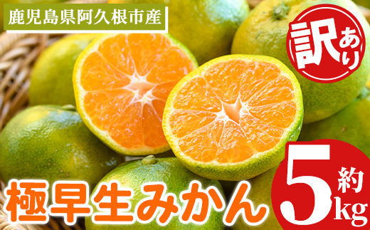 ＜先行予約受付中！2026年9月中旬以降順次発送予定＞ 極早生みかん (約5kg) 国産 みかん 極早生 早生 柑橘 果物 フルーツ デザート 果実 期間限定 数量限定 【古田果樹園】 akn093-06