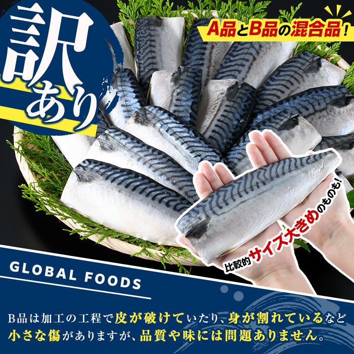 訳あり！昆布塩さばフィーレ(A品B品混合2.5kg) 大容量 ボリューム サバ 鯖 フィレ 魚介類 海産物 海鮮 海の幸 おかず おつまみ 惣菜 グリル 焼き魚 煮魚 切り身 昆布 塩サバ 脂 ご家庭用 リピート 【グローバルフーズ】a-12-343-z