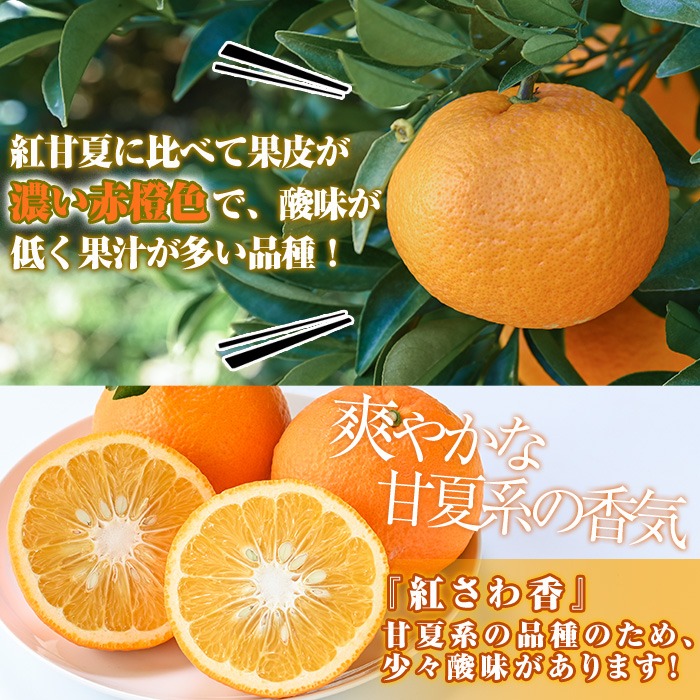 ＜先行予約受付中！2026年2月上旬以降順次発送予定＞訳あり 紅さわ香(約20kg) 国産 鹿児島県 阿久根市 果実 果物 フルーツ 柑橘 みかん ミカン 紅甘夏 期間限定 数量限定 【桐野柑橘株式会社】akn070-19