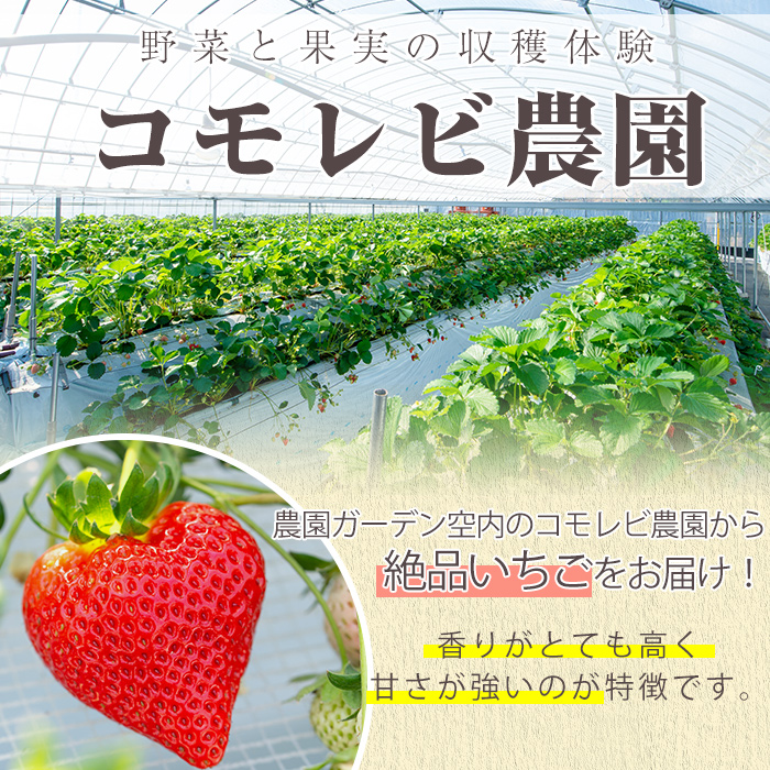 凍眠君使用！農園ガーデン空産冷凍いちご(計1.8kg・600g×3P)国産