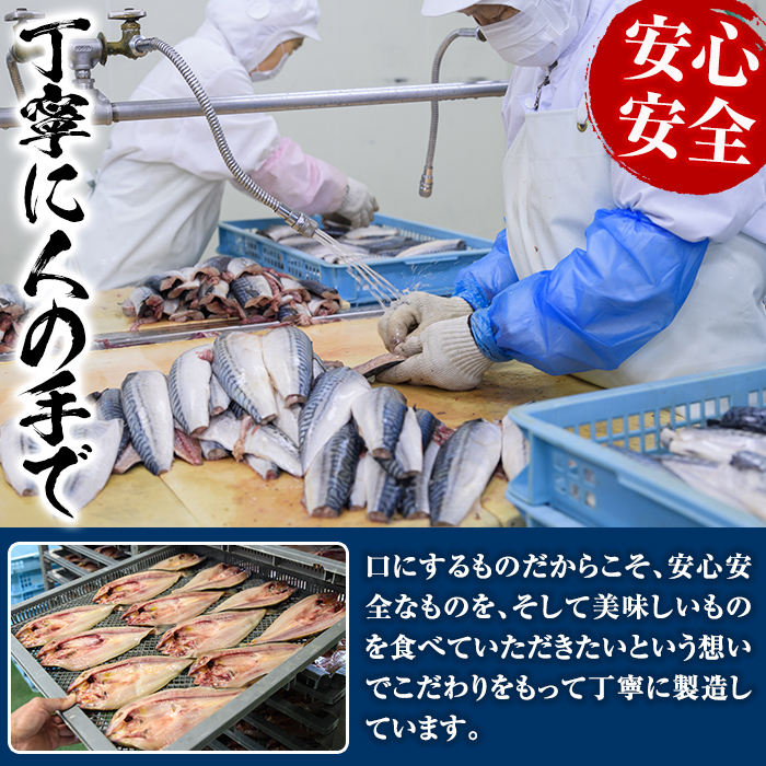 海のめぐみ干物セット(7種・合計19尾)ひもの さば 鯖 サバ ほっけ あじ アジ 魚介 おかず おつまみ【グローバルフーズ】a-12-123-z