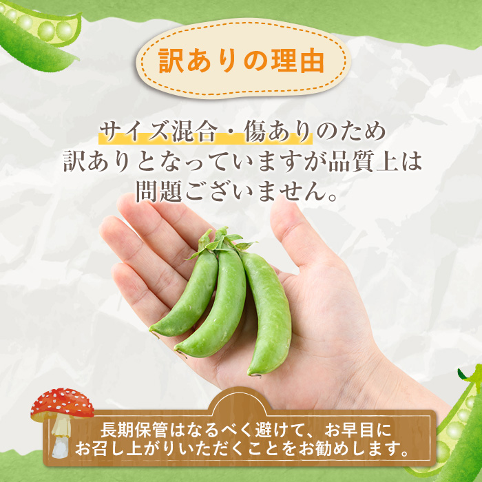 ＜訳あり＞鹿児島県産 スナップエンドウ(約2kg) 国産 野菜 スナップエンドウ スナップえんどう おつまみ サラダ 炒め物 訳アリ サイズ混合【松永青果】a-12-286-z