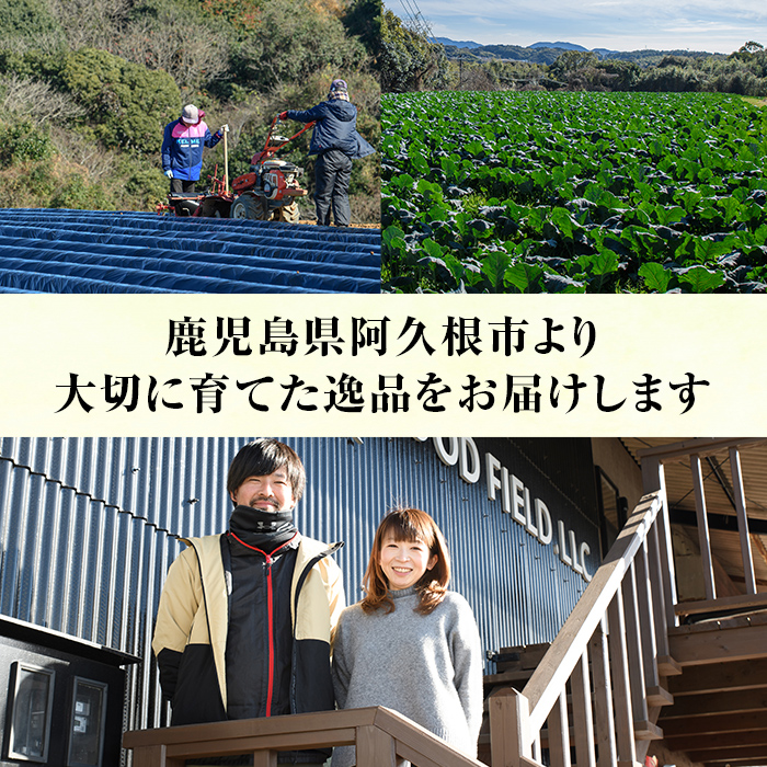 ＜先行予約受付中！2024年12月上旬以降順次発送予定＞鹿児島県産冷凍ブロッコリー(合計2kg・約250g×8袋) 大容量 国産 野菜 冷凍 冷凍野菜 小分け【合同会社グッドフィールド】a-12-148-z