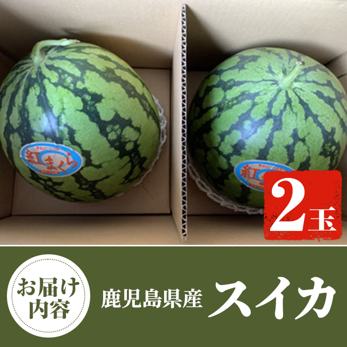 ＜先行予約受付中！2025年6月中旬以降順次発送予定＞鹿児島県産 スイカ(2玉) 国産 果物 スイカ すいか 西瓜 ジュース スムージー 祭ばやし 縞王 紅まくら 黒小玉スイカ 期間限定【松永青果】a-24-58-z