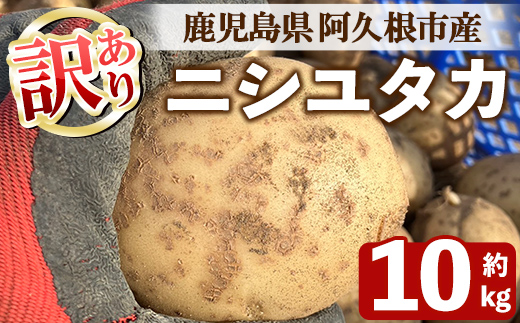 ＜先行予約受付中！2026年6月以降順次発送予定＞訳あり！じゃがいも ニシユタカ(10kg) 国産 鹿児島県産 阿久根市産 じゃがいも ジャガイモ 芋 ポテト にしゆたか 訳アリ 野菜 ポテトサラダ コロッケ 常温 常温配送 【慶越農園】akn107-07