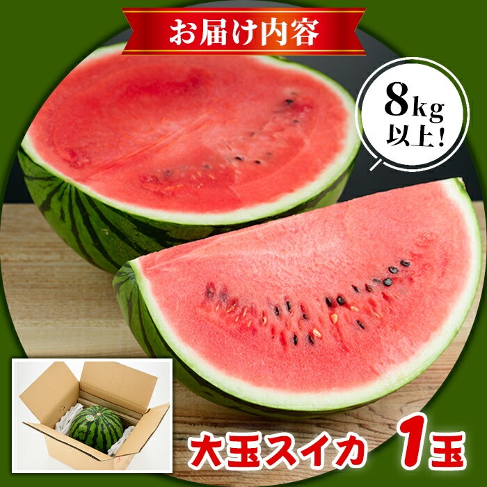 倧çã¹ã€ã«(1çã»8kg以äž) åœç£ ä¹å·ç£ 鹿å
å³¶ç£ ããã ã¹ã€ã« 西ç ãã«ãŒã æç© ãã¶ãŒã å€ æ¬ æ°Žåè£çµŠ å€ããäºé² ç±äžç察ç ãæ ªåŒäŒç€Ÿãããªãakn068-04