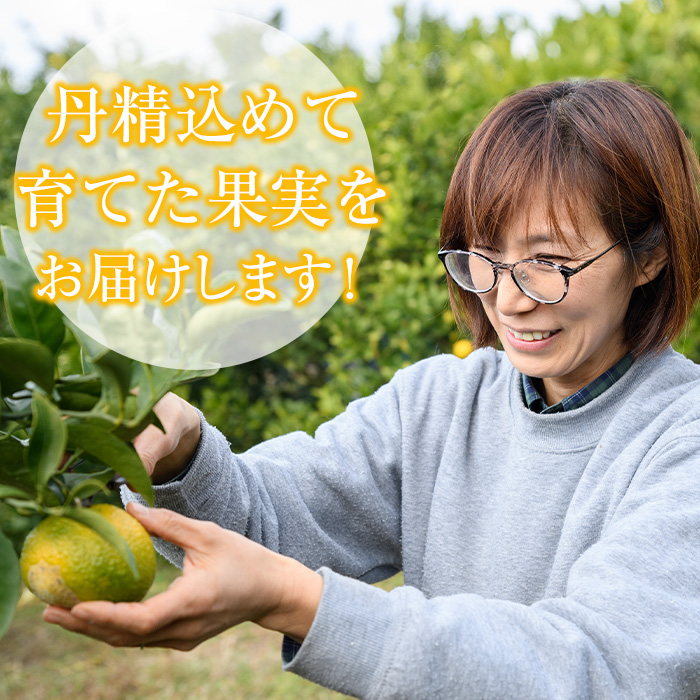 èš³ããïŒãŸãªã¹ã¿ããåã®ãµã¯ãŒãã¡ã (çŽ9.5kg) åœç£ 鹿å
å³¶çç£ é¿ä¹
æ ¹åžç£ ææ©é¡ ã¿ãã ãã«ã³ èæ æç© ãã«ãŒã ãµã¯ãŒãã¡ã æééå® æ°ééå® ãã¶ãŒã èš³ã¢ãª ãæéäŒç€ŸãŸãªã¹ã¿ããåãakn034-08