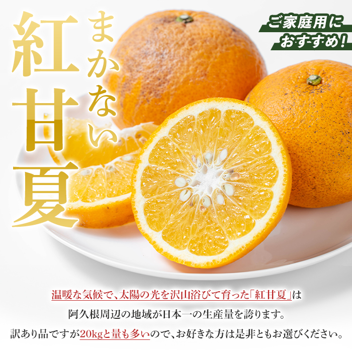 シ懷郁。御コ育エ蜿嶺サ倅クュシ2027蟷エ3譛井ク頑流莉・髯埼谺。逋コ騾∽コ亥ョ夲シ 險ウ縺ゅjシ鮖ソ蜈仙ウカ逵檎肇縺セ縺九↑縺邏逕伜、(邏20kg) 蝗ス逕」 鮖ソ蜈仙ウカ逕」 譟第ゥ 險ウ繧「繝ェ 譫懃黄 繝輔Ν繝シ繝 譌ャ 蟶ク貂ゥ菫晏ュ 邏逕伜、 繝吶ル繧「繝槭リ繝 謨ー驥城剞螳 譛滄俣髯仙ョ 隕乗シ螟 繝繧カ繝シ繝 髦ソ荵譬ケ蟶ら肇縲蝉ク臥ャ霎イ讌ュ逕溽肇縲疎kn051-05