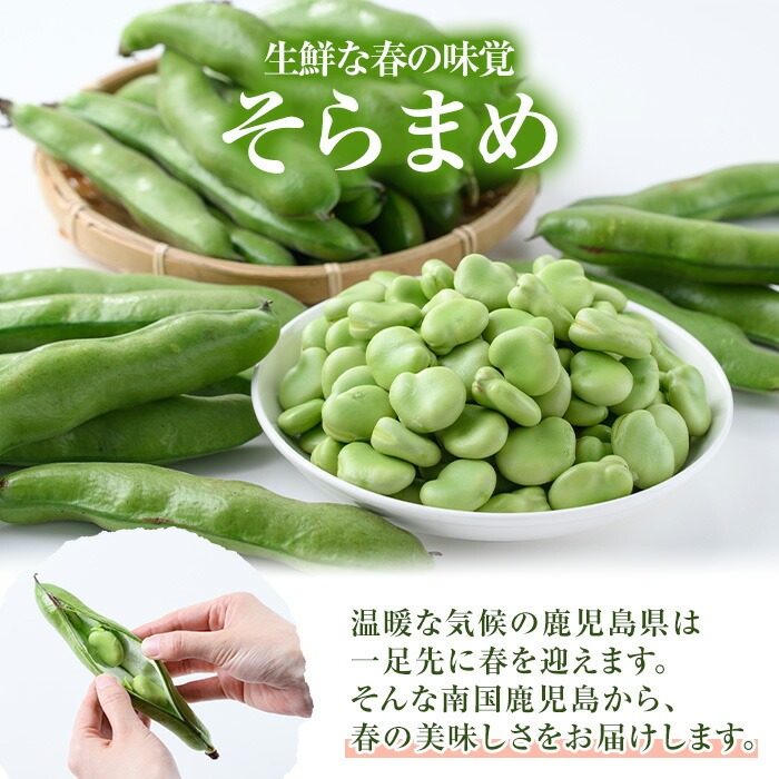 ïŒå
è¡äºçŽåä»äžïŒ2026幎4æäžæ¬ä»¥éé æ¬¡çºéäºå®ïŒæ¥ã®å³èŠã®é¹¿å
å³¶çç£ãããŸã(4kg) 倧容é åœç£ éè ããè± ãœã©ãã¡ ã»ãã è©°åã è©°ãåãã æ¬ ããžã¿ãã« æééå® ALèŠæ Œ åœç£ 鹿å
å³¶çç£ é¿ä¹
æ ¹åžç£ å·èµã鹿å
å³¶ããã¿èŸ²æ¥ååçµåãakn018-11