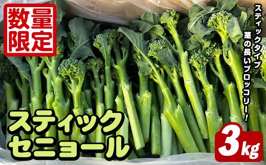 ＜先行予約受付中！2026年5月以降順次発送予定＞ スティックセニョール (3kg) 国産 鹿児島県産 阿久根市産 ブロッコリー 野菜 サラダ お弁当 ピクニック 産地直送 茎ブロッコリー 肉巻き 数量限定 期間限定 【うとさんち】akn067-26