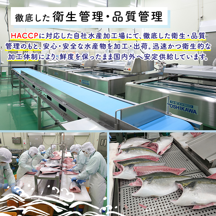 ããªã®åã身(ç空ããã¯ã»çŽ2kg) åœç£ 鹿å
å³¶çç£ ã㪠鰀 éè² éä» æµ·ç£ç© çŒãé ç
®ã€ã ããªã«ã ç空 ãæ ªåŒäŒç€Ÿå³¶æ°Žãakn102-04