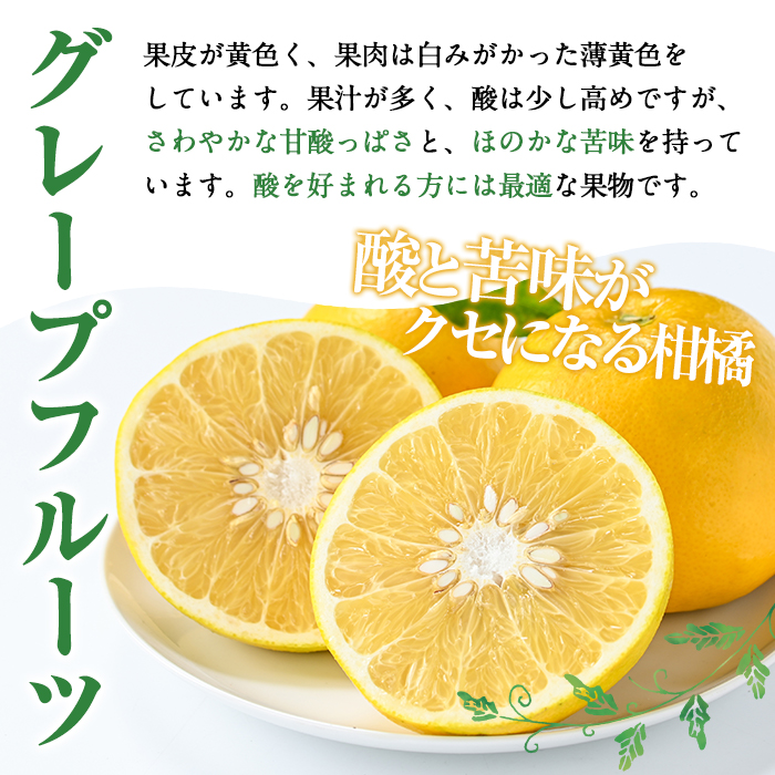 ＜先行予約受付中！2026年2月以降順次発送＞数量限定！グレープフルーツ(約4kg)国産 果実 果物 フルーツ 柑橘 デザート 期間限定【桐野柑橘株式会社】akn070-04