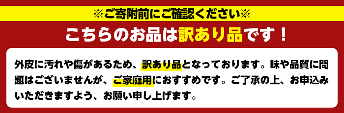 ＜先行予約受付中！2026年1月中旬以降順次発送予定＞訳あり紅甘夏(約20kg) 国産 鹿児島県 阿久根市 果実 果物 フルーツ 柑橘 紅甘夏 みかん ミカン 期間限定 数量限定【桐野柑橘株式会社】akn070-09