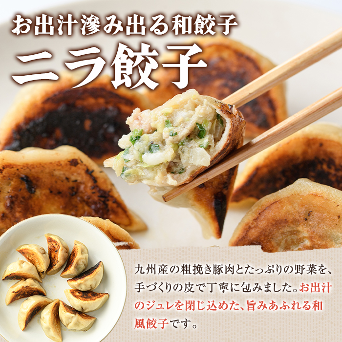 ＼テレビで紹介されました！／ニラ餃子(計48個・12個入り×4袋) 餃子 生餃子 ギョウザ ぎょうざ ギョーザ セット 詰め合わせ おかず お惣菜 冷凍 和風 水餃子【餃子のはま田】akn096-01