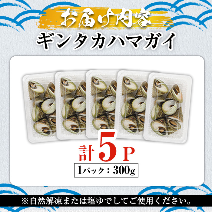 数量限定！ギンタカハマガイ(三角みな)ボイル(300g×5パック)国産 鹿児島県産 貝 魚介類 おかず 料理 おつまみ【福美丸水産】 a-14-41