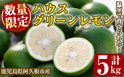 ＜先行予約受付中！2026年8月中旬以降順次発送予定＞数量限定！ハウスマイヤーグリーンレモン(5kg) 国産 檸檬 果実 果物 フルーツ 柑橘 デザート お菓子作り 期間限定 数量限定【桐野柑橘株式会社】akn070-18