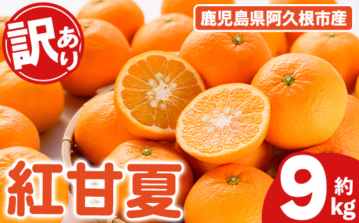 ＜先行予約受付中！2027年2月上旬以降順次発送予定＞ 訳あり！紅甘夏 (約9kg) 国産 紅甘夏 柑橘 果物 フルーツ デザート 果実 期間限定 数量限定 【古田果樹園】akn093-04