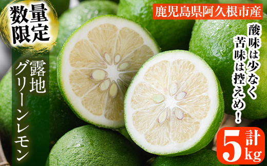 ＜先行予約受付中！2026年8月中旬以降順次発送予定＞数量限定！露地マイヤーグリーンレモン(5kg) 国産 檸檬 グリーンレモン 果実 果物 フルーツ 柑橘 デザート【桐野柑橘株式会社】akn070-17