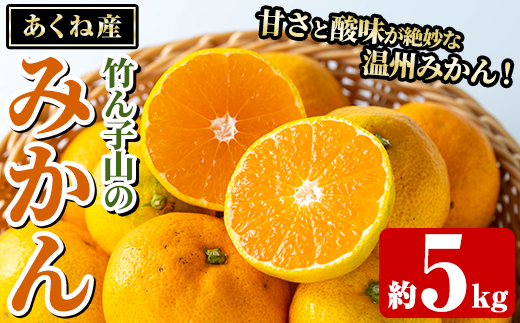 ＜先行予約受付中！2026年11月上旬以降順次発送予定＞数量限定！竹ん子山のみかん(約5kg) 国産 鹿児島県産 阿久根産 ミカン 蜜柑 みかん 柑橘 果物 フルーツ 温州みかん 果実 期間限定 【竹ん子山】akn097-03