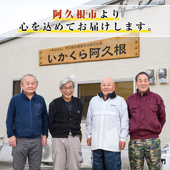阿久根産！中びき 鹿肉&猪肉ミンチ(合計1.2kg・300g×各2P) 国産 肉 鹿肉 しか肉 シカ肉 猪肉 しし肉 シシ肉 いのしし肉 イノシシ肉 ミンチ 中挽き 中びき ジビエ 冷凍 ボタン鍋 ぼたん鍋 もみじ もみじ鍋 低カロリー 高たんぱく ダイエット 鉄分 山の幸【一般社団法人いかくら阿久根】akn076-04