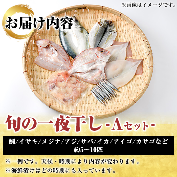 数量限定！阿久根市産の旬の一夜干しグルメ＜A＞セット(鯛・アジ・イカ・サバなど)国産 鮮魚 詰め合わせ お楽しみ 海の幸 魚介類 干物 海鮮【さるがく水産】a-12-205-z